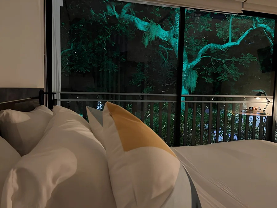 Suite con balcón — detalle